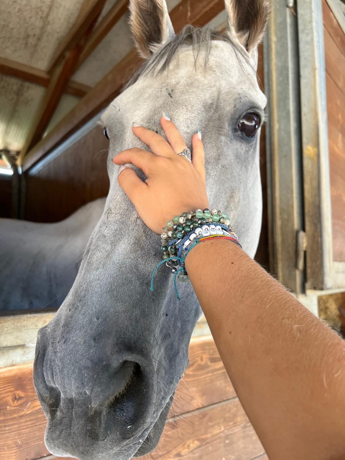 person touching brown horse